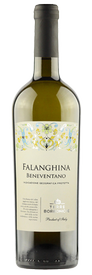 Domis Vini Falanghina Beneventano IGP Terre Borboniche